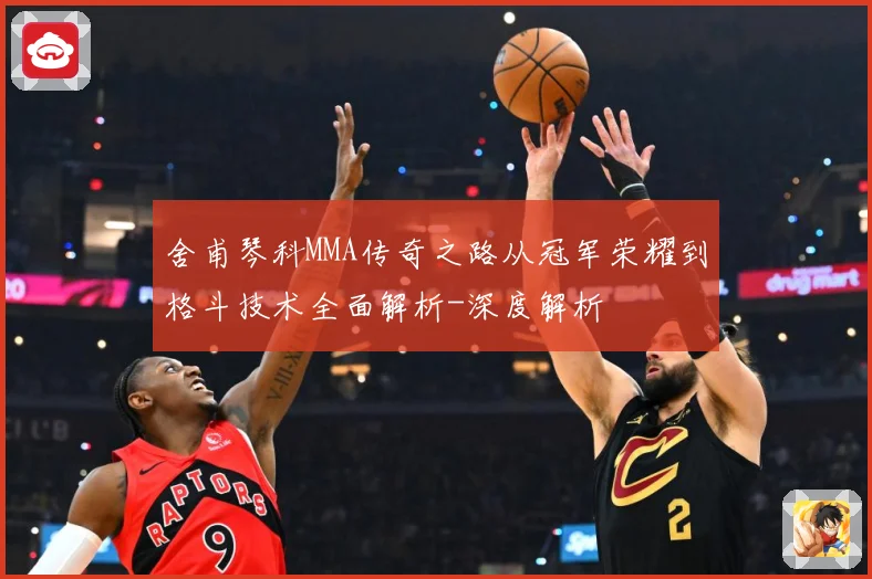 舍甫琴科MMA传奇之路从冠军荣耀到格斗技术全面解析-深度解析