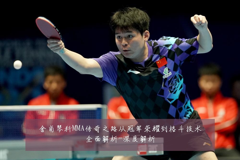 舍甫琴科MMA传奇之路从冠军荣耀到格斗技术全面解析-深度解析
