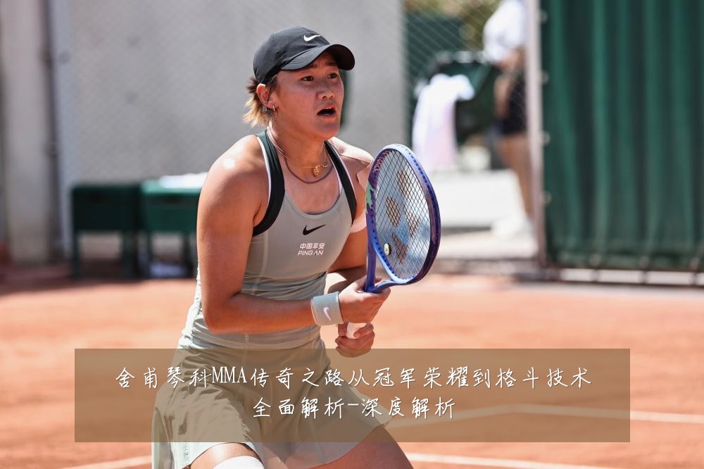 舍甫琴科MMA传奇之路从冠军荣耀到格斗技术全面解析-深度解析